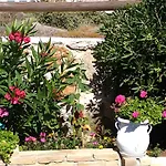 Delight Apartments Suites Stelida (Naxos)