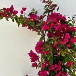 Delight Apartamento Stelida (Naxos)