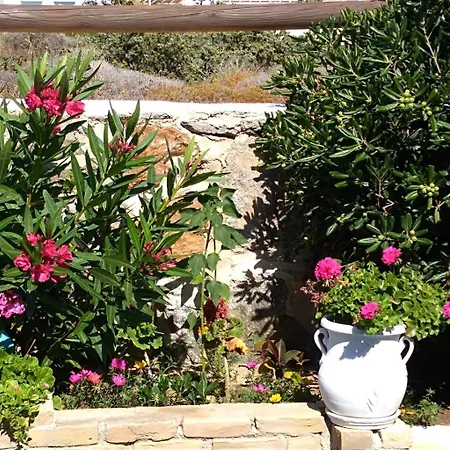 Delight Stelida (Naxos)