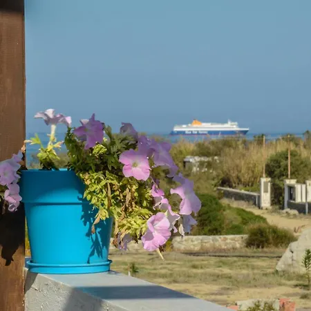 Delight Stelida (Naxos)