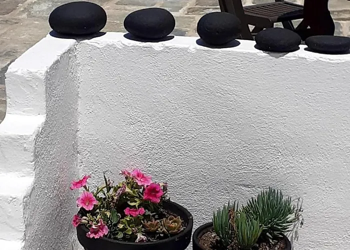 Delight Appartamento