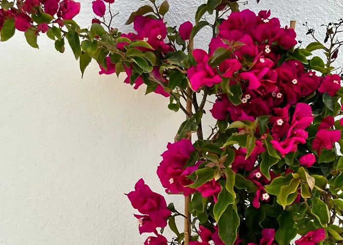 Delight Appartamento Stelida (Naxos)