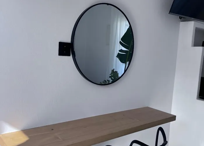 Delight * Стелида